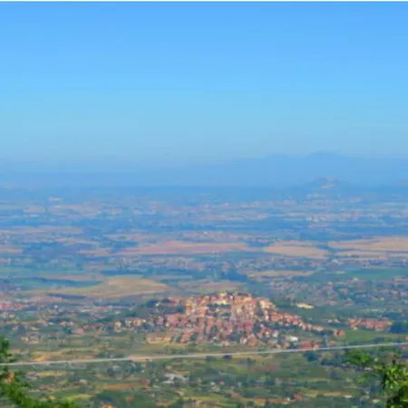 Homestay Belvedere
